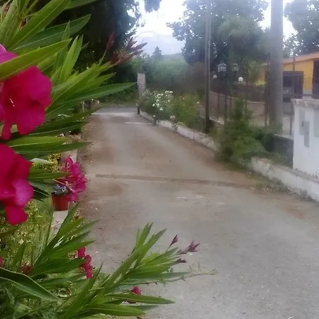 Il Mulo * Artena